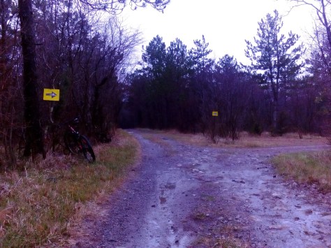 4KRASKROSMTBunder fajti hrib