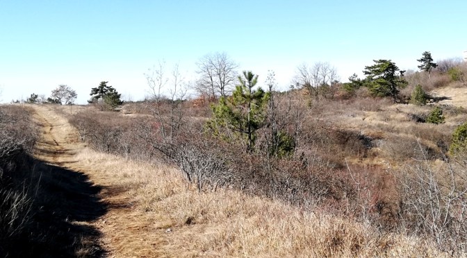 V NEDELJO 4. KRAS KROS TRAIL RUN