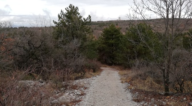 PRIJAVE NA 4. KRAS KROS TRAIL RUN