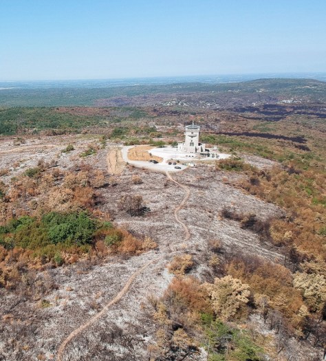 300766589_506768508115075_9190956817320031316_n