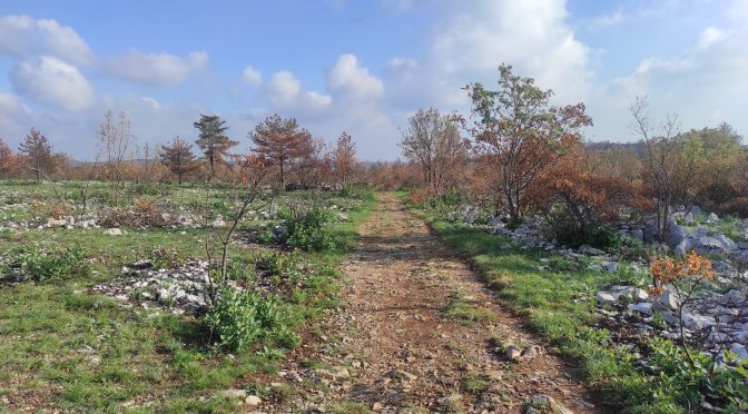 ODPRTE PRIJAVE ZA 10. KRAS KROS MTB