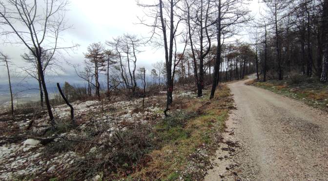 NOVICE 9. KRAS KROS MTB